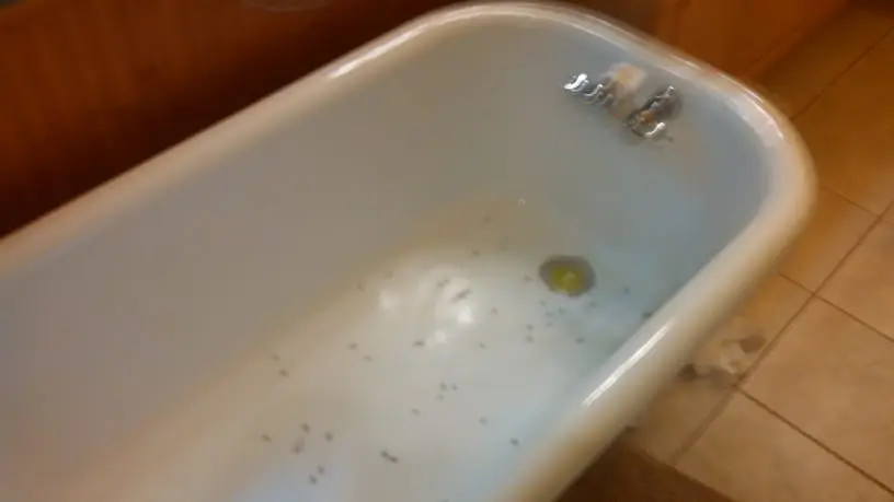Worn stained bathtub surface before refinishing by Absolutely Smooth Bathtubs
